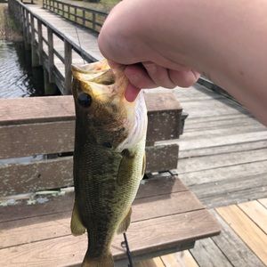 Meet your Posher, Tory